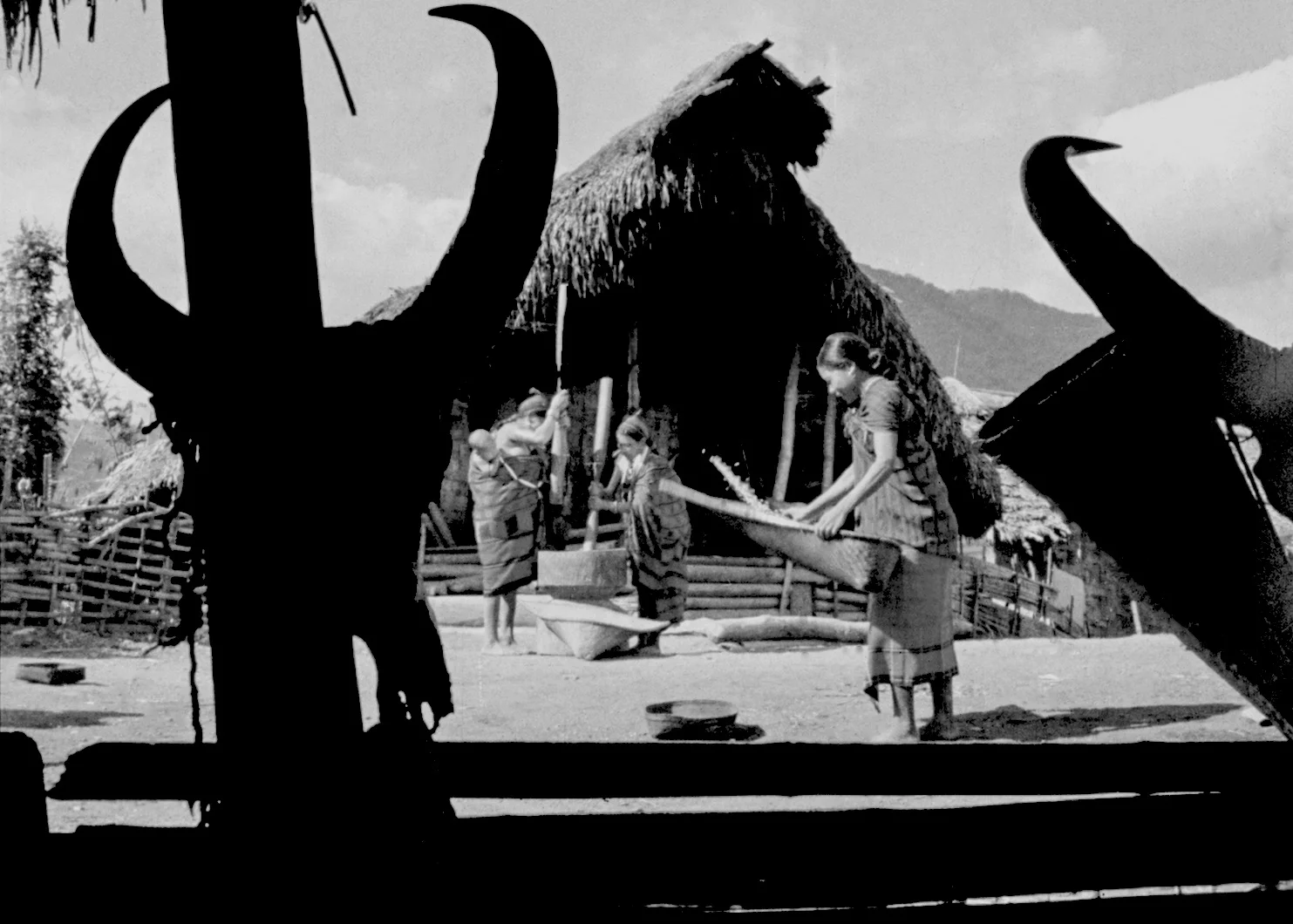 Visions of Development — archival still